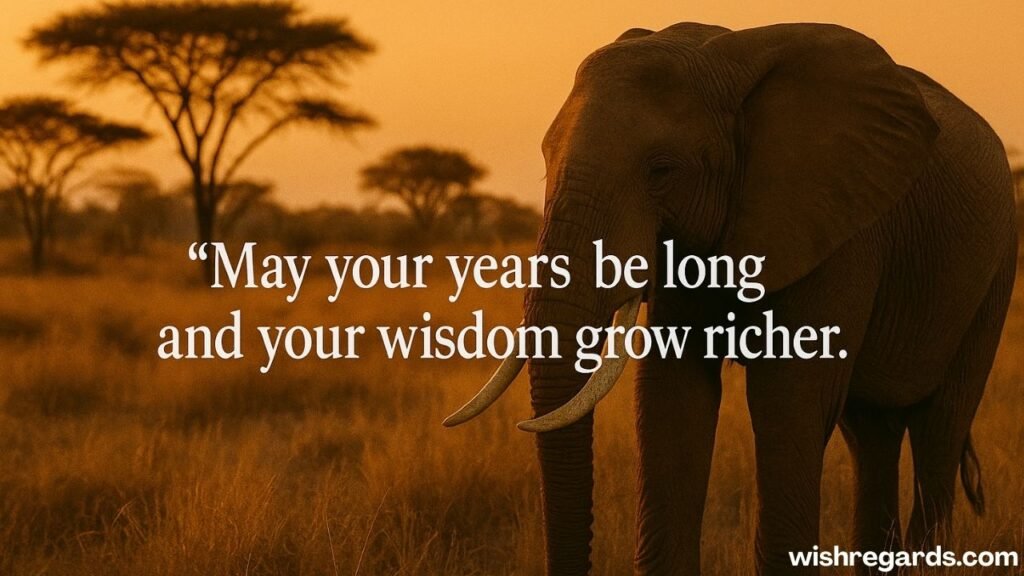 African Birthday Wishes